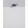 Illuminazione Globo Lighting Sapena Plafoniera LED Grigio, Nero, 1-Luce