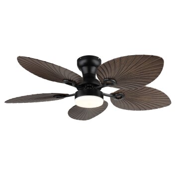 Illuminazione Globo Lighting Elise Lampada con ventilatore LED Écru, Nero, 1-Luce, Telecomando