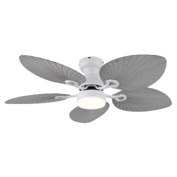 Illuminazione Globo Lighting Elise Lampada con ventilatore LED Grigio, Bianco, 1-Luce, Telecomando