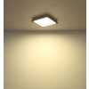 Illuminazione Globo Lighting Fitzpatrick Plafoniera LED Nero, 1-Luce
