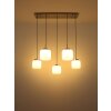 Illuminazione Globo Lighting Kladora Lampadario a sospensione Nichel opaco, 5-Luci