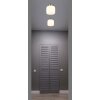 Illuminazione Globo Lighting Kladora Plafoniera Nichel opaco, 1-Luce