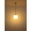 Illuminazione Globo Lighting Kladora Lampadario a sospensione Nichel opaco, 1-Luce