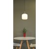 Illuminazione Globo Lighting Kladora Lampadario a sospensione Nichel opaco, 1-Luce