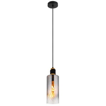 Illuminazione Globo Lighting Osborne Lampadario a sospensione Marrone, Nero, 1-Luce