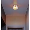 Illuminazione Globo Lighting Higgins Plafoniera Oro, 1-Luce