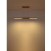 Illuminazione Globo Lighting Cody Lampadario a sospensione LED Oro, 1-Luce