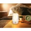 Illuminazione Globo Lighting Lizzy Lampada da tavolo LED Argento, 1-Luce