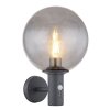 Illuminazione Globo Lighting Hedwig Illuminazione esterna, 1-Luce