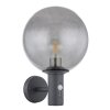 Illuminazione Globo Lighting Hedwig Illuminazione esterna, 1-Luce