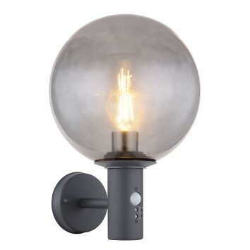 Illuminazione Globo Lighting Hedwig Illuminazione esterna, 1-Luce