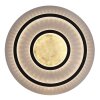 Illuminazione Globo Lighting Jayden Plafoniera LED Oro, Nero, 1-Luce, Telecomando