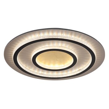 Illuminazione Globo Lighting Jayden Plafoniera LED Oro, Nero, 1-Luce, Telecomando
