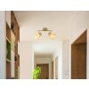 Illuminazione Globo Lighting Zachery Plafoniera Ottone, 2-Luci
