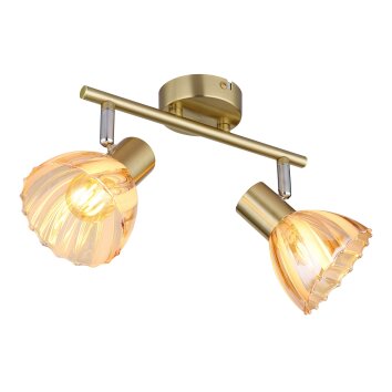 Illuminazione Globo Lighting Zachery Plafoniera Ottone, 2-Luci