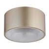 Illuminazione Globo Lighting Raymond Plafoniera LED Oro, 1-Luce