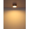 Illuminazione Globo Lighting Raymond Plafoniera LED Oro, 1-Luce