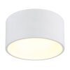 Illuminazione Globo Lighting Raymond Plafoniera LED Bianco, 1-Luce