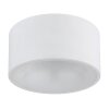 Illuminazione Globo Lighting Raymond Plafoniera LED Bianco, 1-Luce