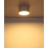 Illuminazione Globo Lighting Raymond Plafoniera LED Bianco, 1-Luce