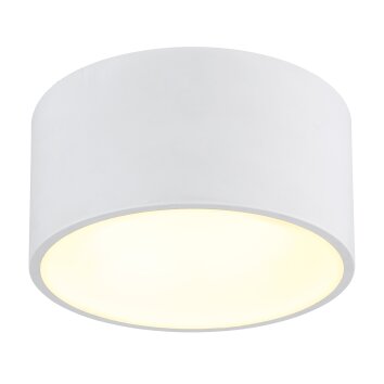 Illuminazione Globo Lighting Raymond Plafoniera LED Bianco, 1-Luce