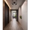 Illuminazione Globo Lighting Walters Plafoniera Nero, 2-Luci