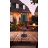 Illuminazione Globo Lighting Vancouver Lampada da tavolo LED Nero, 1-Luce