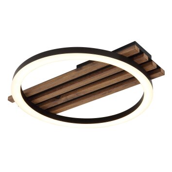 Illuminazione Globo Lighting Tisha Plafoniera LED Écru, Nero, 1-Luce