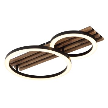 Illuminazione Globo Lighting Tisha Plafoniera LED Écru, Nero, 1-Luce