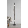 Illuminazione Globo Lighting Watkins Lampada da terra LED Nero, 1-Luce