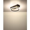 Illuminazione Globo Lighting Blevins Plafoniera LED Écru, Nero, 1-Luce