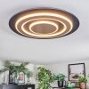Lidor Plafoniera LED Nero, 1-Luce