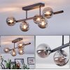 Chehalis Plafoniera, Lampada a sfera Grigio fumo, 5-Luci
