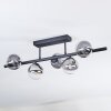 Chehalis Plafoniera, Lampada a sfera Chiaro, Grigio fumo, 5-Luci
