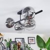 Chehalis Plafoniera, Lampada a sfera Chiaro, Grigio fumo, 5-Luci