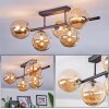 Chehalis Plafoniera, Lampada a sfera Ambrato, 5-Luci