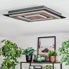 Lidor Plafoniera LED Nero, 1-Luce