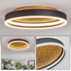 Guine Plafoniera LED Oro, Nero, 1-Luce