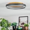 Guine Plafoniera LED Oro, Nero, 1-Luce