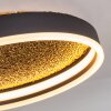 Guine Plafoniera LED Oro, Nero, 1-Luce