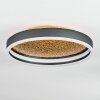 Guine Plafoniera LED Oro, Nero, 1-Luce