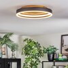 Guine Plafoniera LED Oro, Nero, 1-Luce