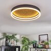 Guine Plafoniera LED Oro, Nero, 1-Luce