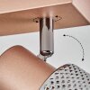 Medelim Plafoniera, Faretto da soffitto Bronzo, 2-Luci