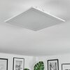 Omaro Plafoniera, Panel LED Bianco, 1-Luce, Cambia colore