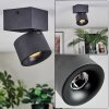 Narel Plafoniera, Faretto da soffitto LED Nero, 1-Luce