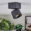 Narel Plafoniera, Faretto da soffitto LED Nero, 1-Luce