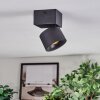 Narel Plafoniera, Faretto da soffitto LED Nero, 1-Luce