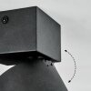 Narel Plafoniera, Faretto da soffitto LED Nero, 1-Luce