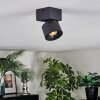 Narel Plafoniera, Faretto da soffitto LED Nero, 1-Luce